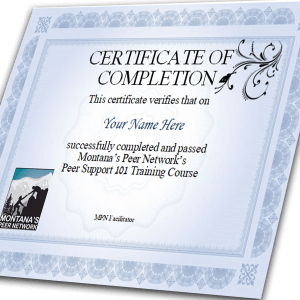 PS 101 Certificate reprint